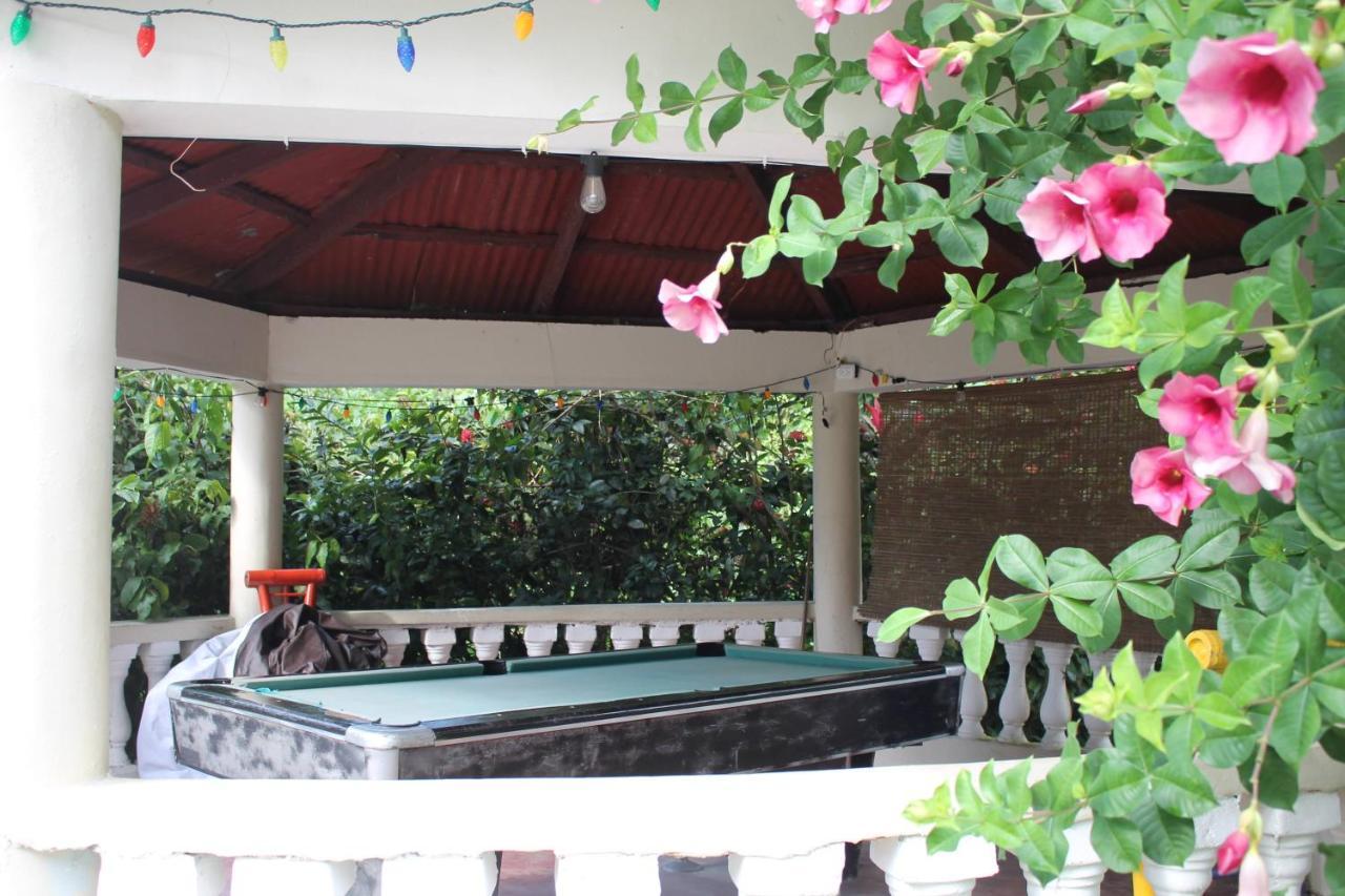 Complejo Villa Las Palmeras Piscina, Billar, Jardin, Bbq @Drvacationsrental Samana Екстериор снимка