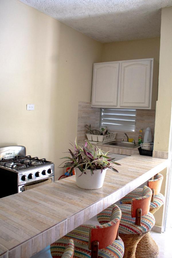 Complejo Villa Las Palmeras Piscina, Billar, Jardin, Bbq @Drvacationsrental Samana Екстериор снимка
